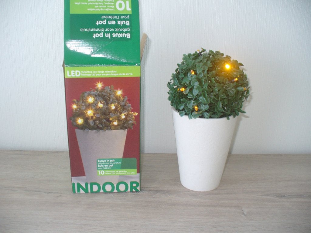 Buxus met led in pot, Jardin & Terrasse, Plantes | Arbustes & Haies, Enlèvement ou Envoi, Buis