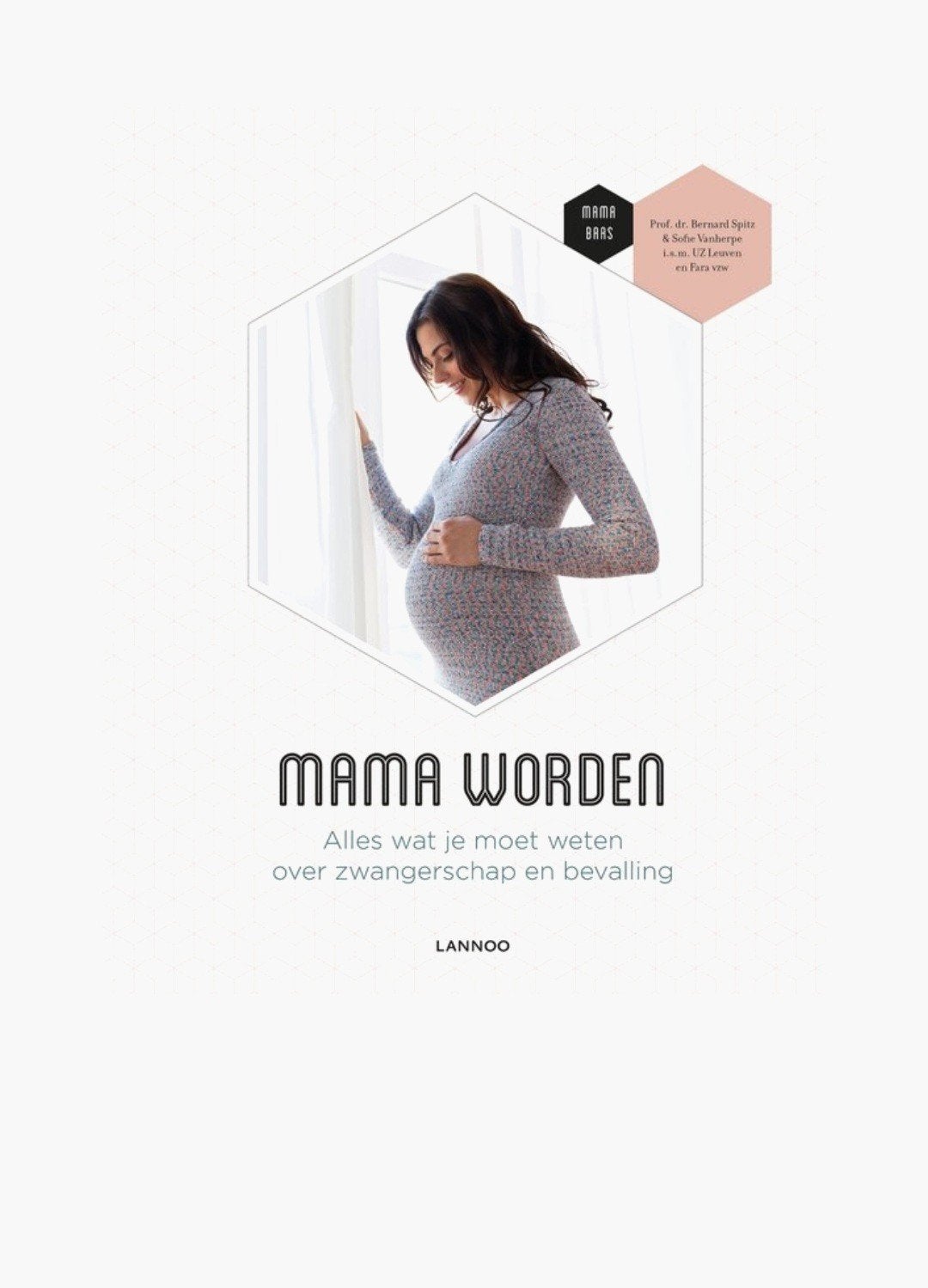 Mama worden, Livres, Grossesse & Éducation, Enlèvement