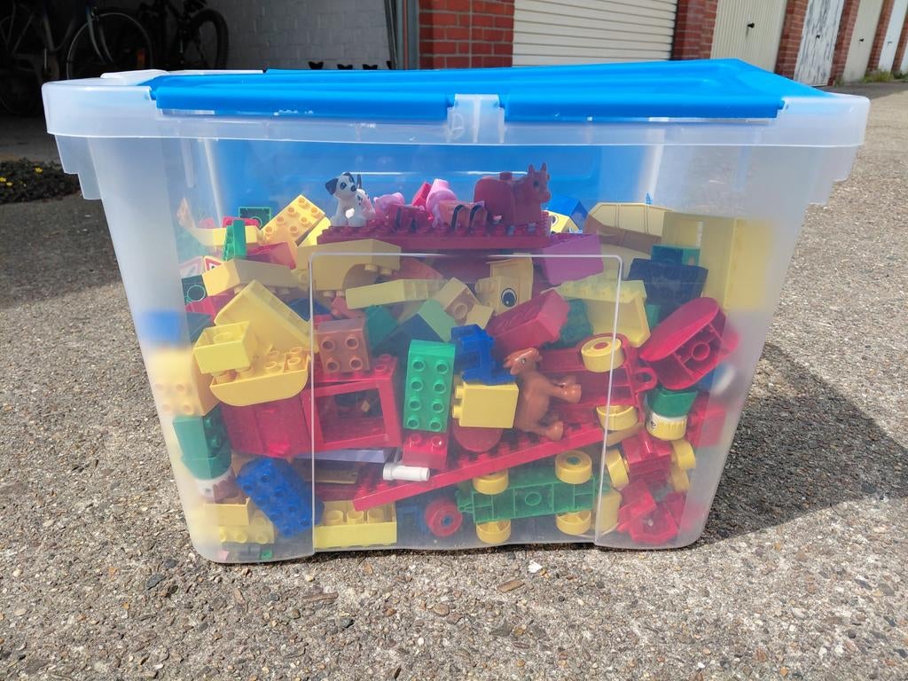 Grote doos Duplo, Enlèvement, Duplo