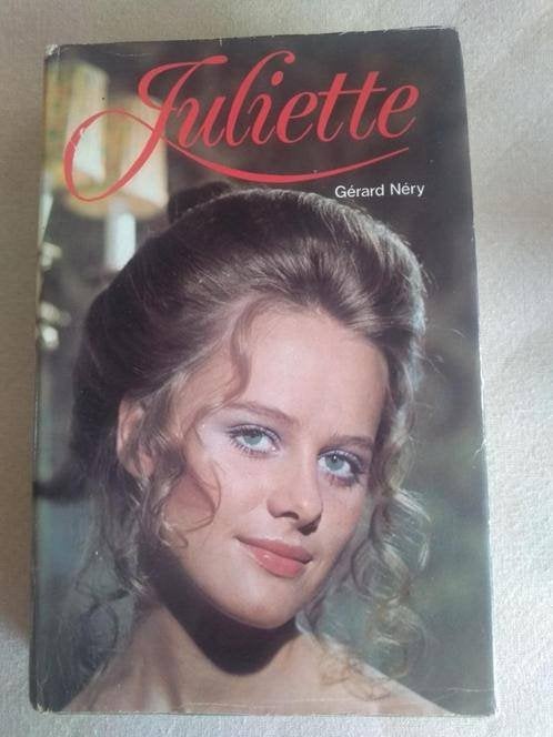 boek: Juliette/Gérard Néry [NEDERLANDSTALIG], Boeken, Historische romans, Ophalen of Verzenden, Gelezen