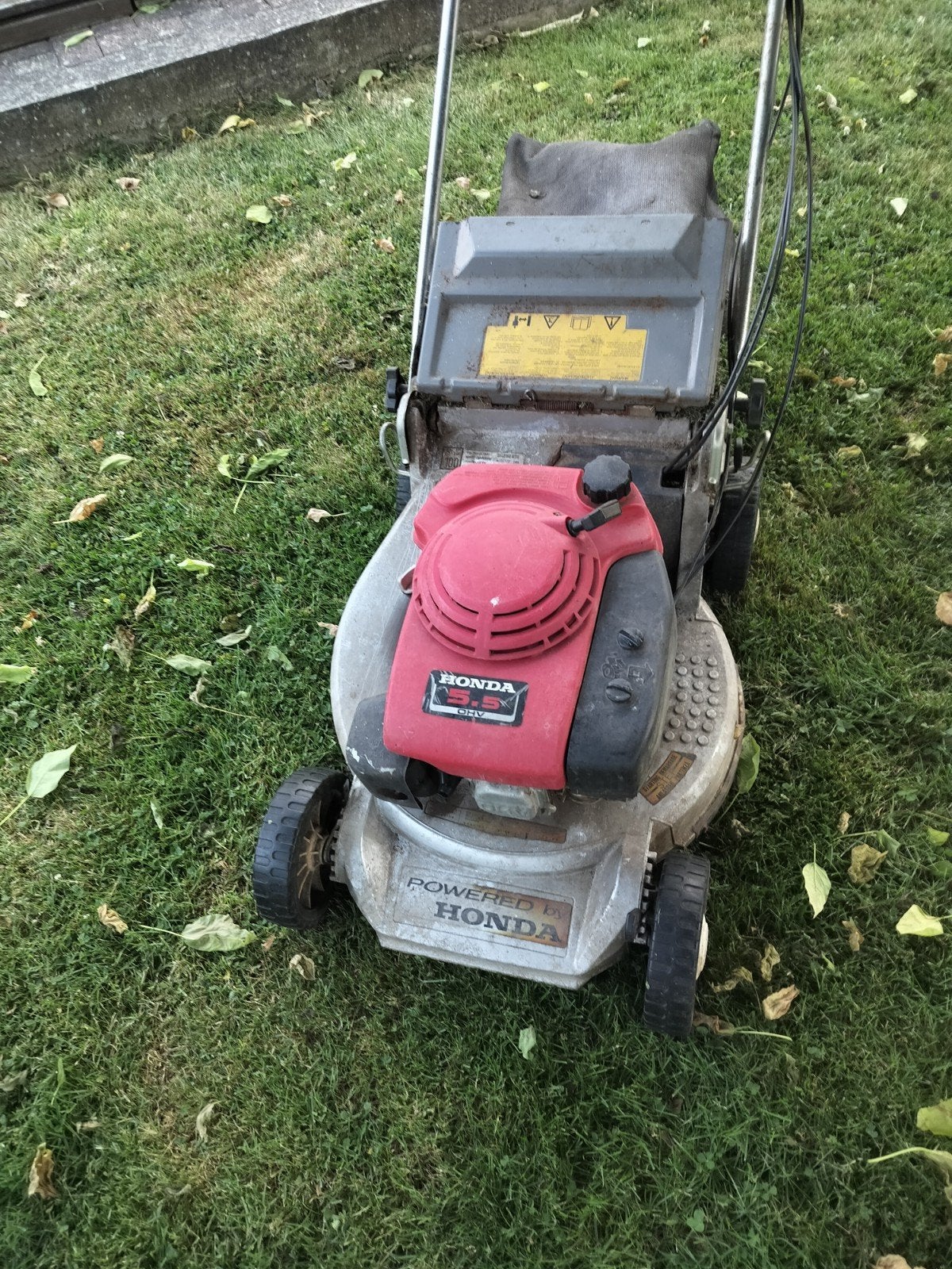 Tondeuse professionnelle Honda 5.5chevaux., Jardin & Terrasse, Enlèvement