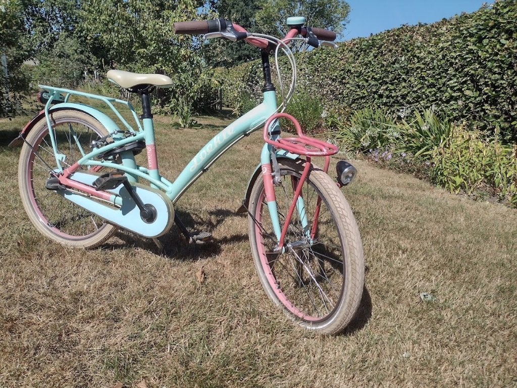 meisjesfiets loekie prinses 22 inch, Ophalen, Terugtraprem, 22 inch, Gebruikt