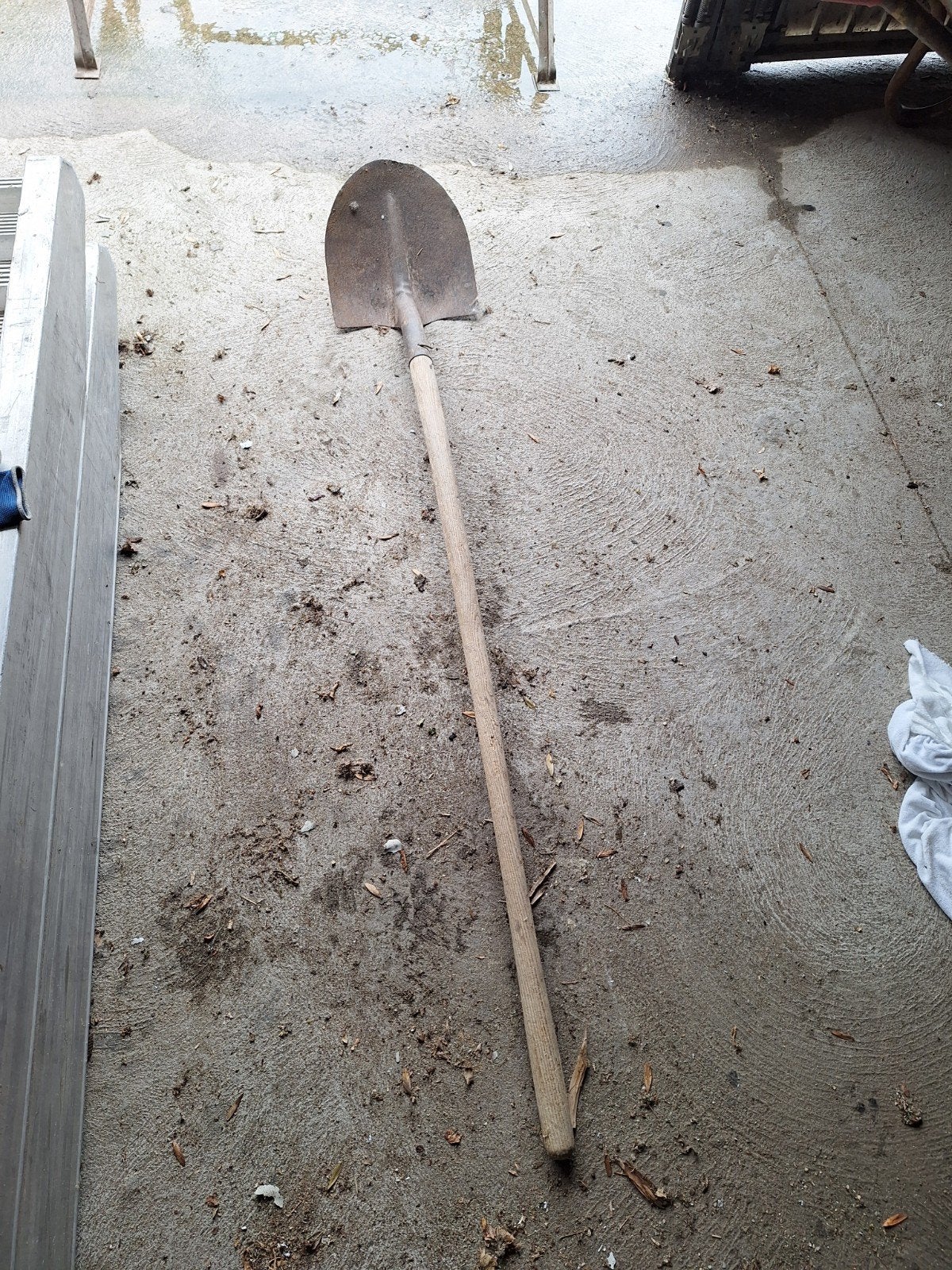 Pelle, Jardin & Terrasse, Outils à main, Enlèvement, Pelle