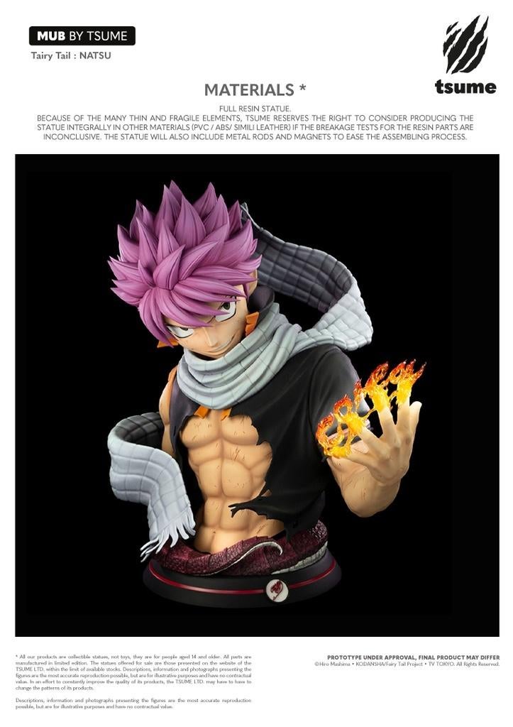 buste de Natsu Tsume, Enlèvement, Neuf, Fantasy