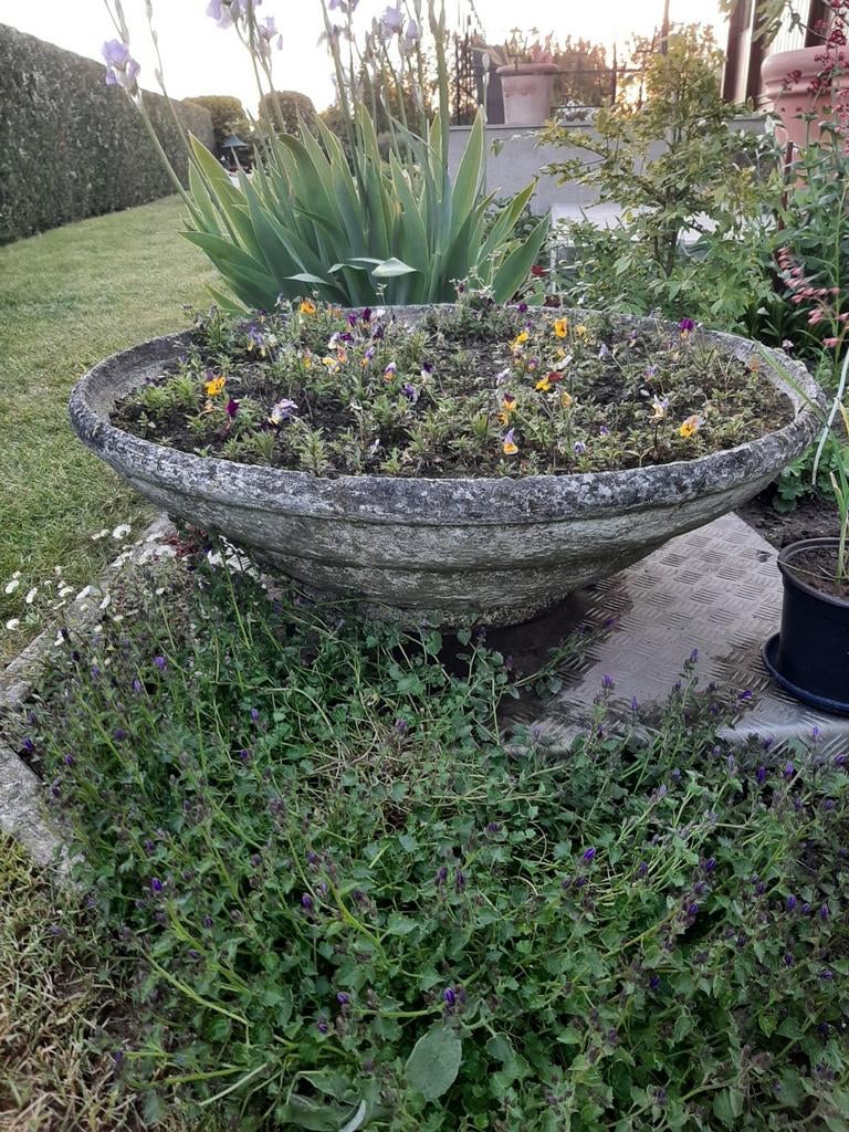 Prachtige bloemenschaal 86 cm , compleet met bloemen, Ophalen, Gebruikt, Rond, Beton