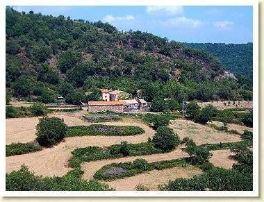Vakantiehuis met zwembad in Zuid-Frankrijk, Open haard, Landelijk, Languedoc-Roussillon, In bos