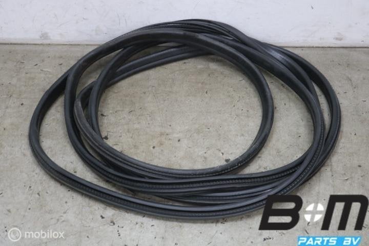 Schuifdeur rubber L of R Mercedes Sprinter 419 A9106169800, Auto-onderdelen, Gebruikt