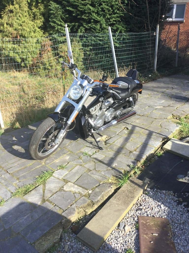 Harley davidson vrod muscle, 2 cilinders, Occasion, Chopper, Particulier