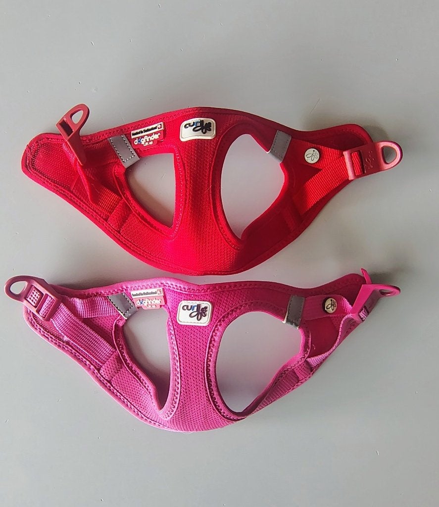 Harnais pour petit chien, Animaux & Accessoires, Enlèvement, Comme neuf