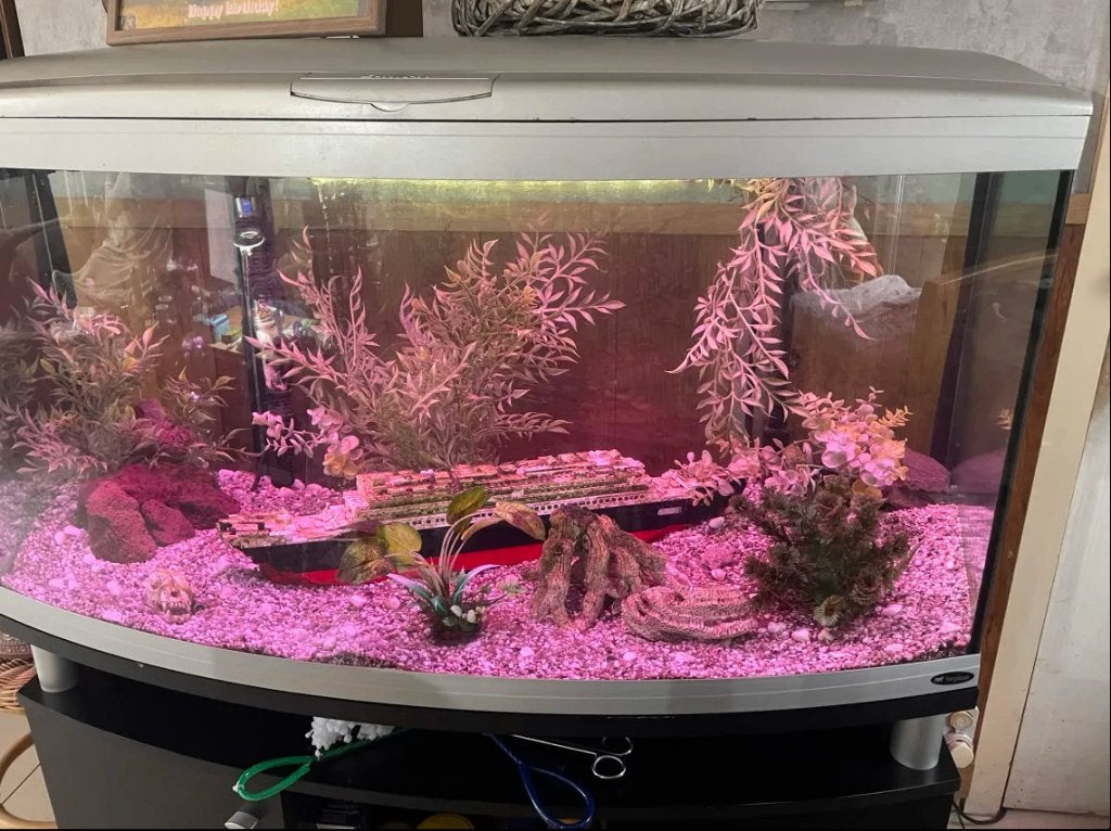 aquarium met buiten pomp, Dieren en Toebehoren, Vissen | Aquaria en Toebehoren, Ophalen, Inclusief deksel, Zo goed als nieuw, Gevuld zoetwateraquarium