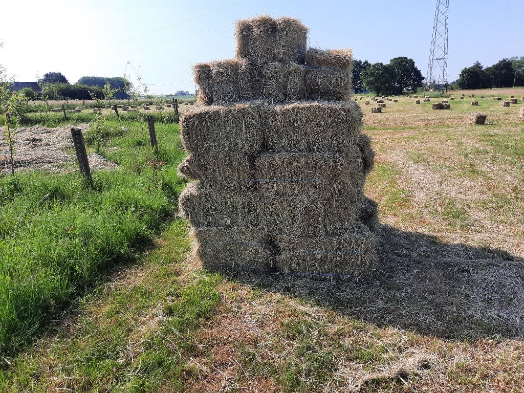 Hooi in kleine botten, Ophalen, Overige soorten