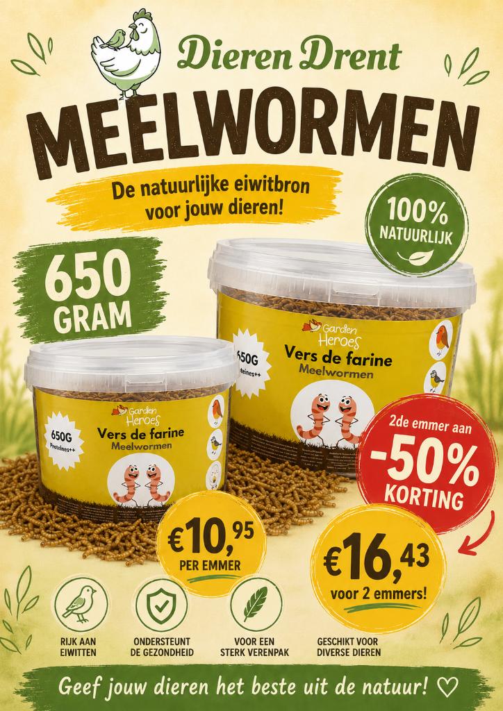 meelwormen gedroogd promo, Ophalen