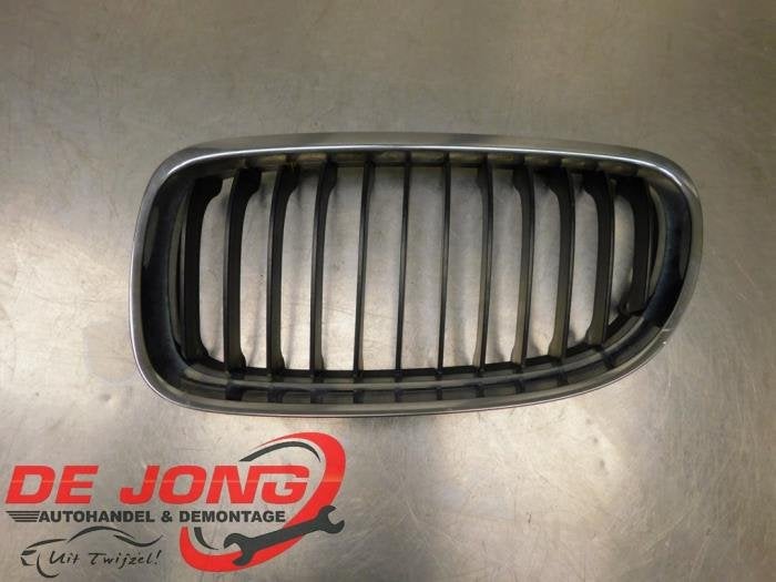 Calandre d'un BMW 3-Serie, -, 3 mois de garantie, Utilisé, -