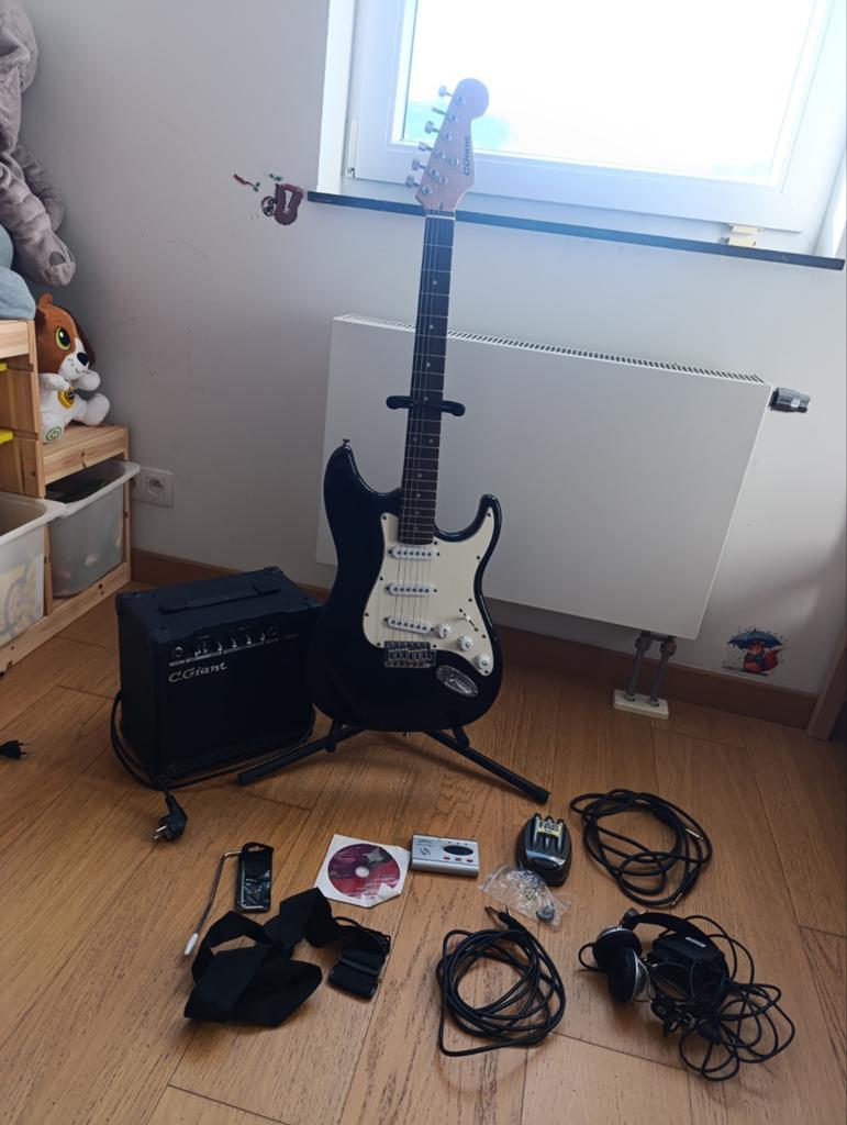 Guitare C.Giant, Enlèvement