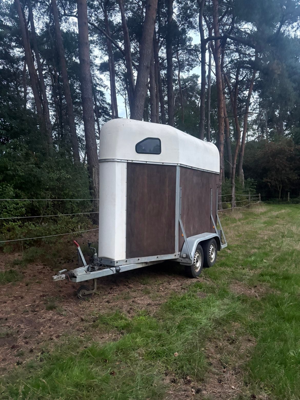 Paardentrailer, Enlèvement, Utilisé, Bois, Remorque 1½ cheval