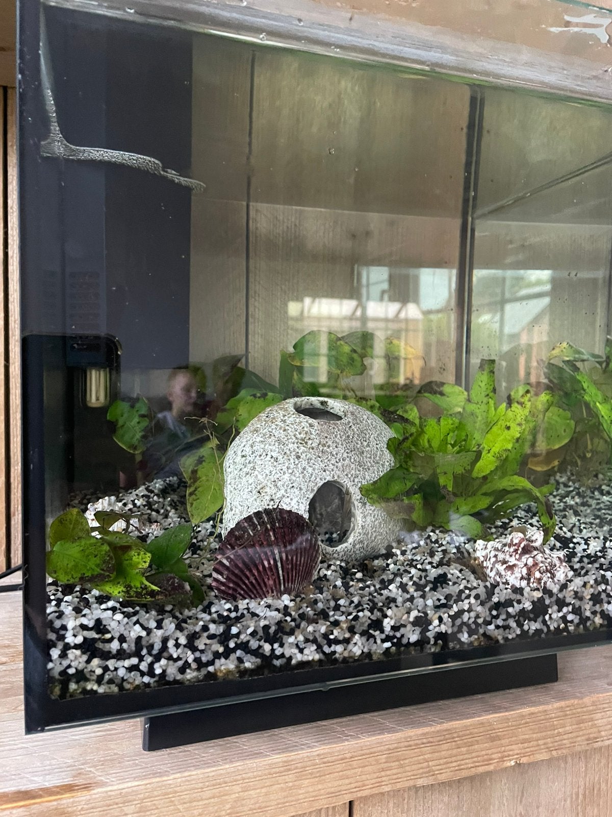 Aquarium vierkant met verwarming + toebehoren, Enlèvement, Chauffage, Utilisé, Aquarium d'eau douce rempli