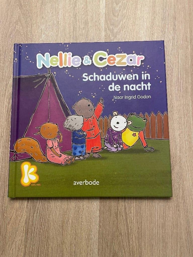 Nellie en Cezar: schaduwen in de nacht, Enlèvement ou Envoi