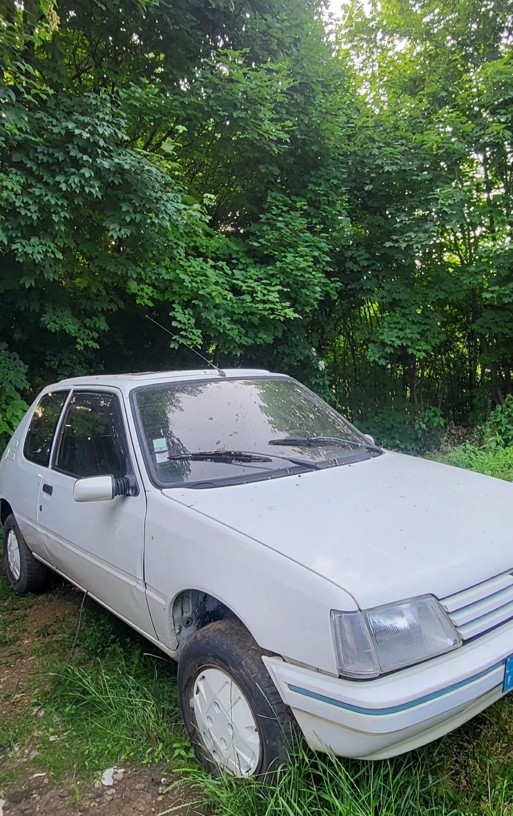 Peugeot 205 green, Achat, Toit ouvrant, Particulier, Vert