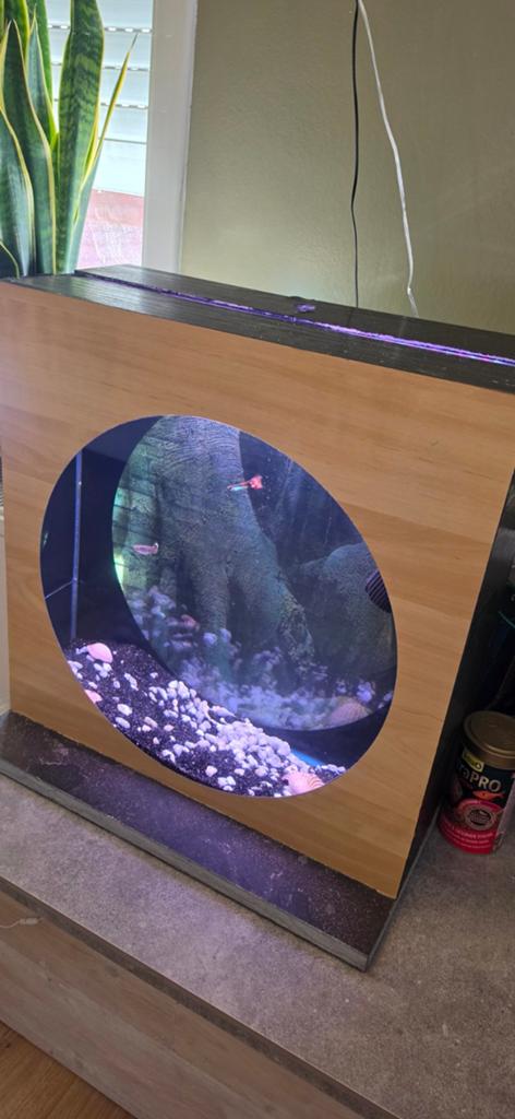 Aquarium met toebehoren., Dieren en Toebehoren, Knaagdieren en Konijnen | Toebehoren, Ophalen