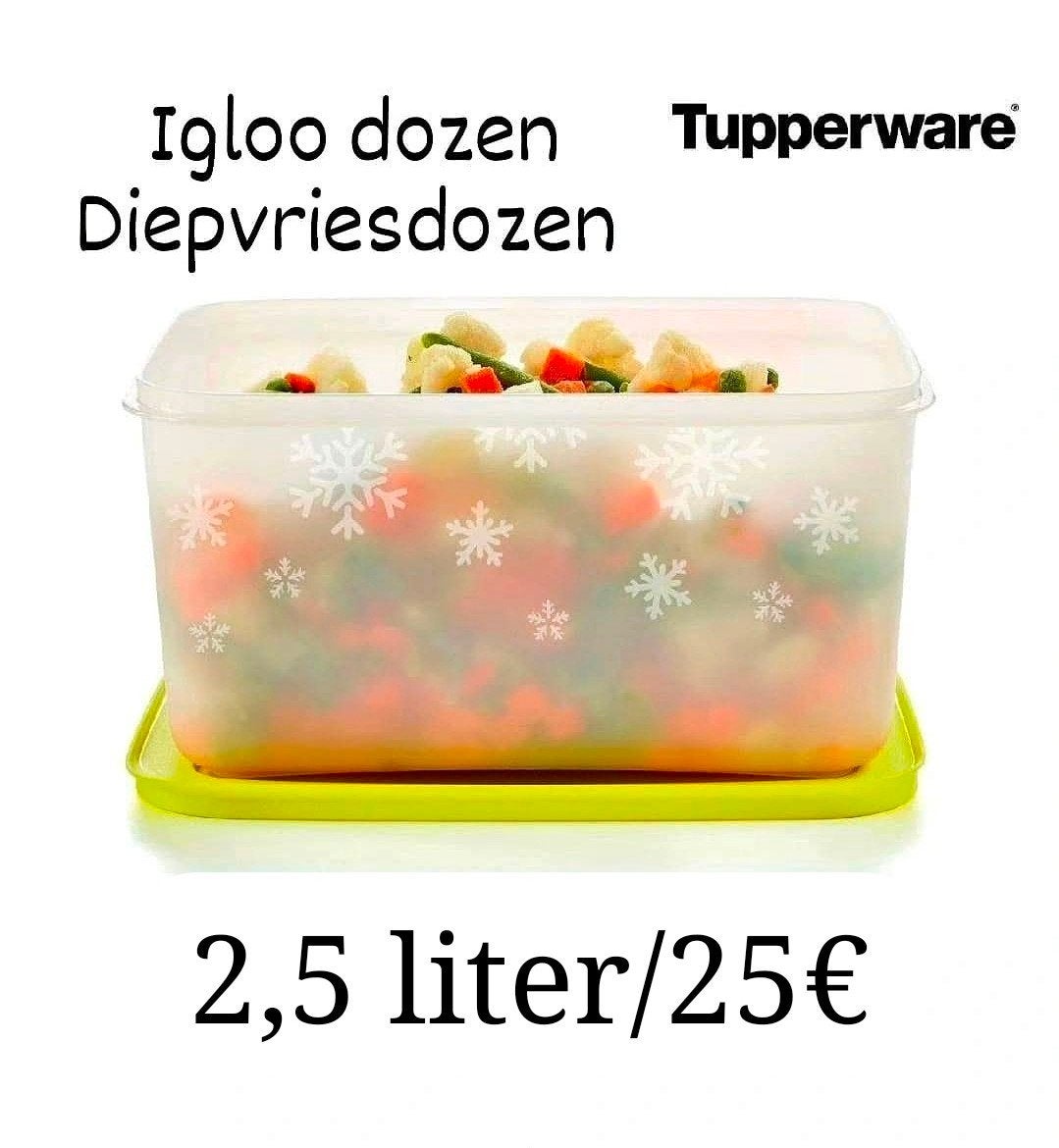 Tupperware igloo doos, Ophalen of Verzenden, Nieuw