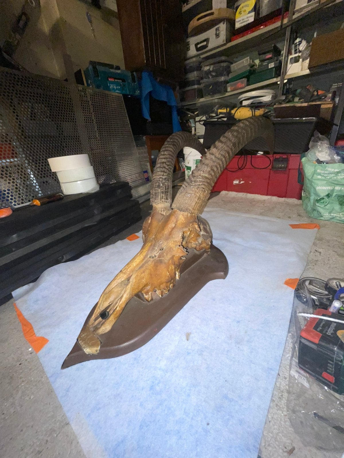 Vintage Ram schedel met grote hoorns, Verzamelen, Ophalen