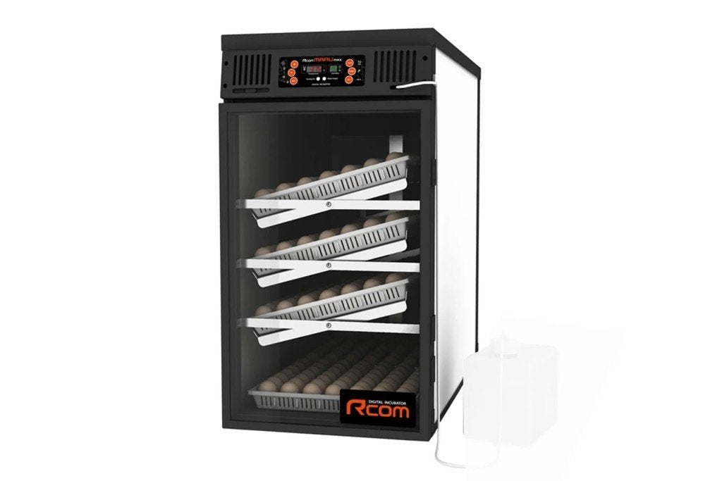R-com broedmachine: maru 380 max Deluxe, Enlèvement, Neuf, Couveuse