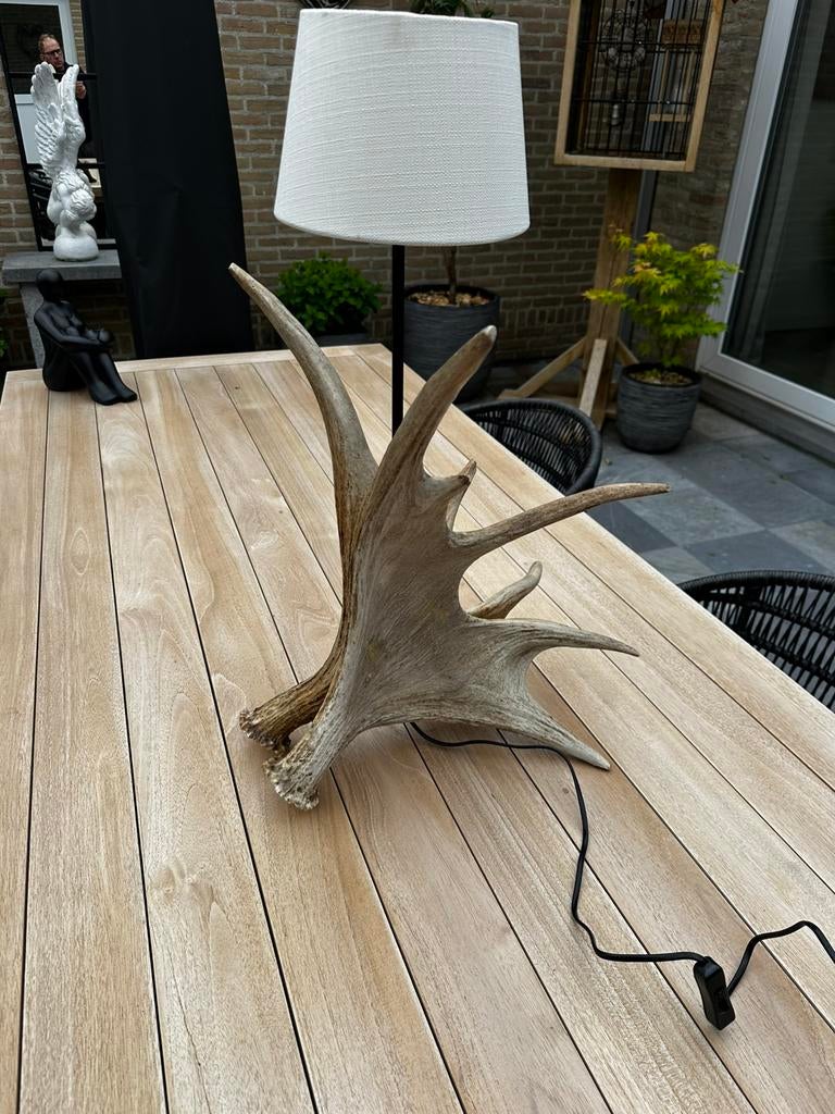 Eland gewei lamp, Huis en Inrichting, Lampen | Overige, Ophalen, Zo goed als nieuw