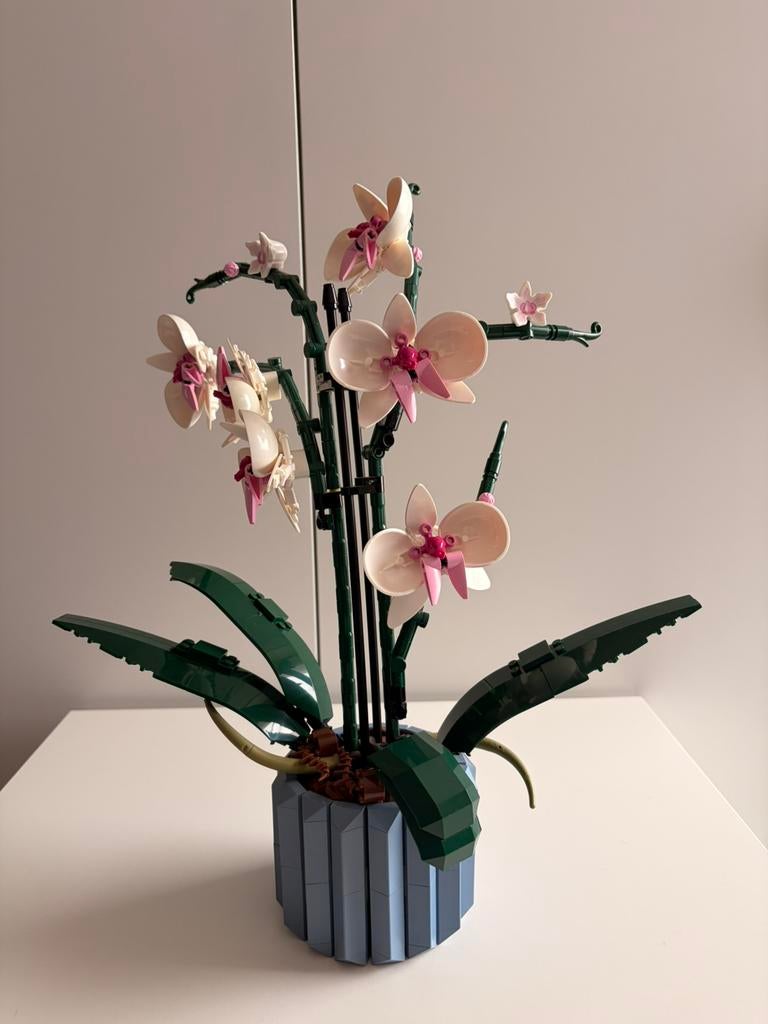 LEGO Orchidee 10311 – perfecte staat – 1x gebouwd, Ophalen, Lego, Icons, Complete set