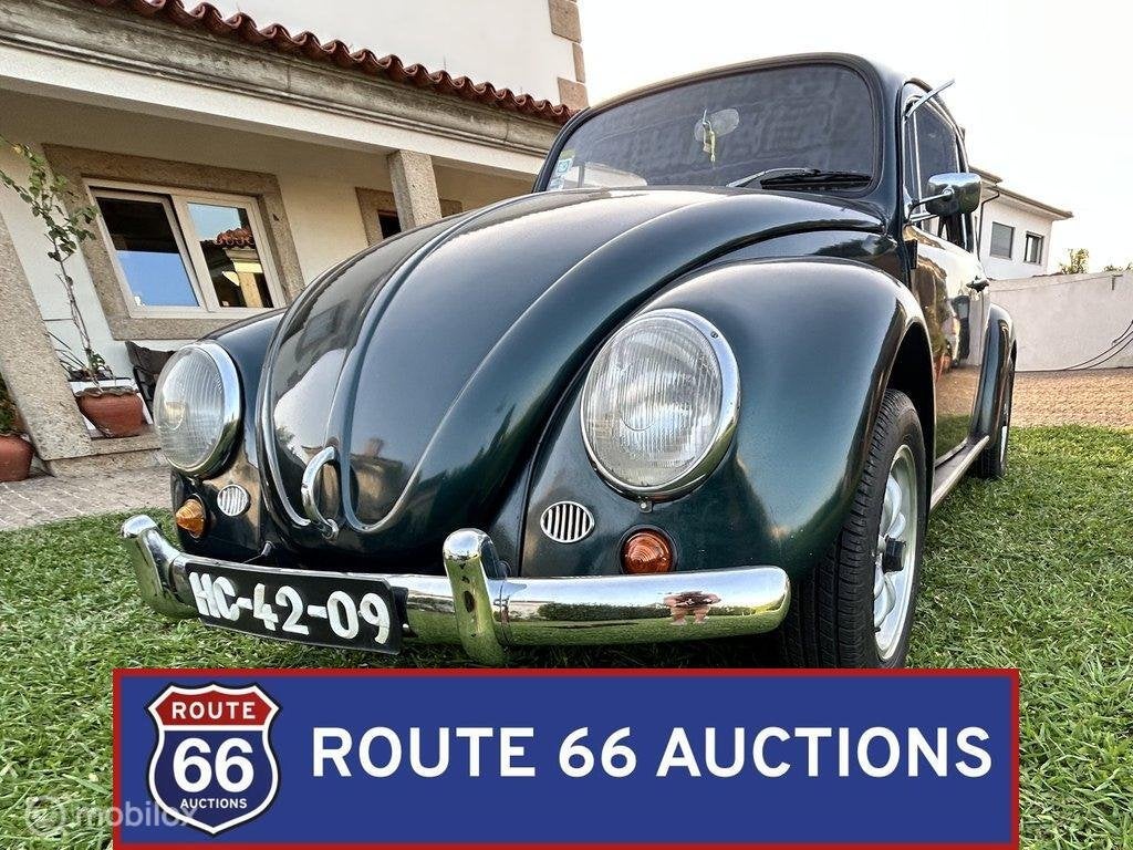 Volkswagen Beetle 1300 | 1967 | Route 66 Auctions, Autos, Achat, Entreprise, Autre carrosserie, Essence