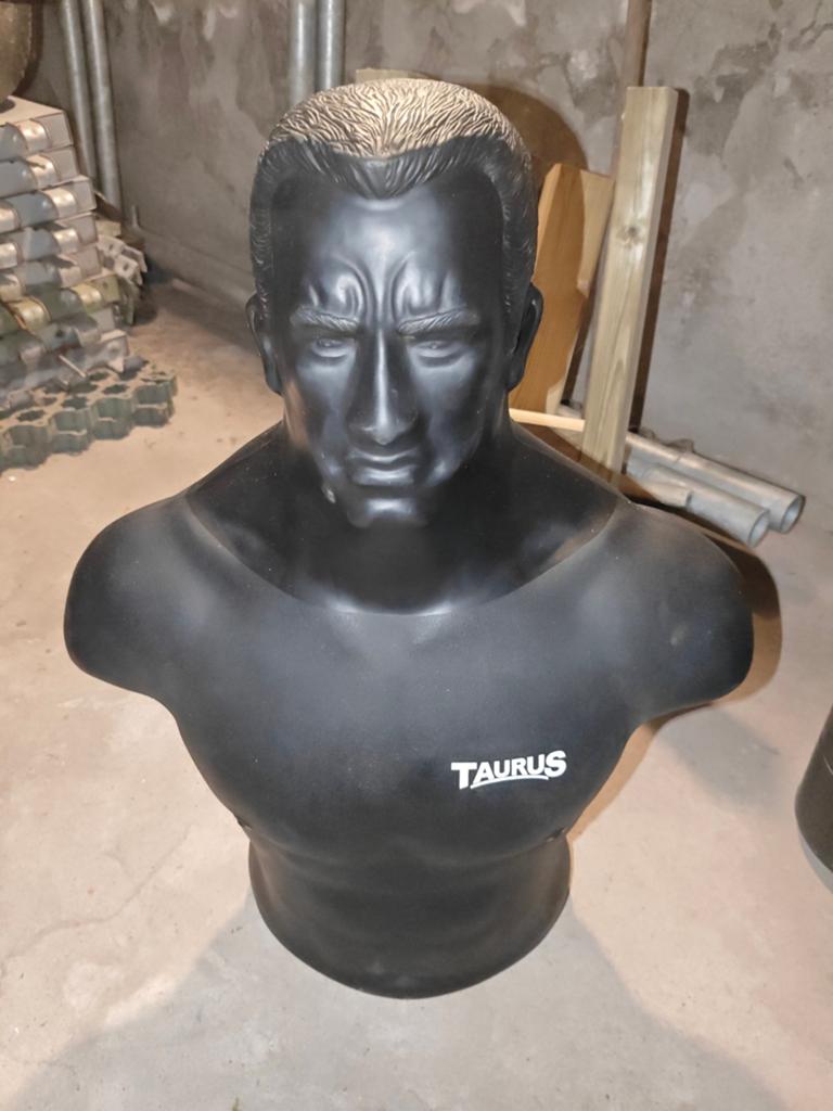 Boxdummy, Sports & Fitness, Enlèvement