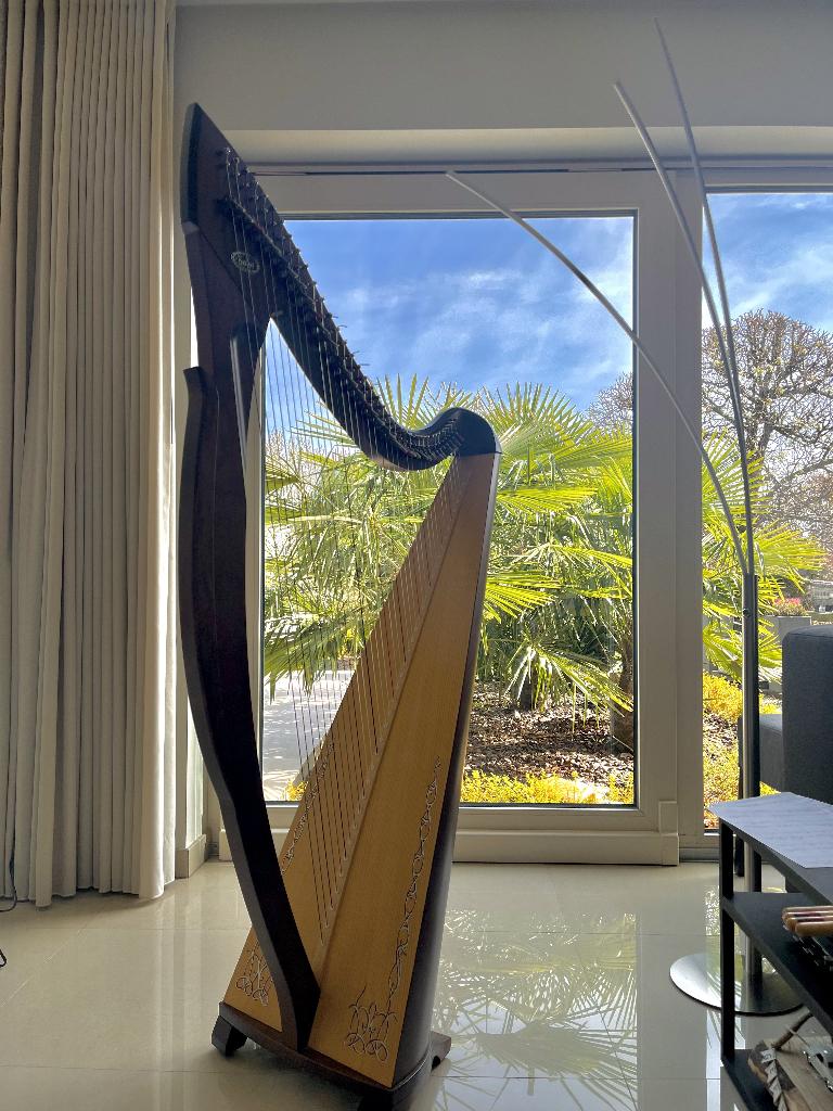 Harp Salvi Egan, Ophalen