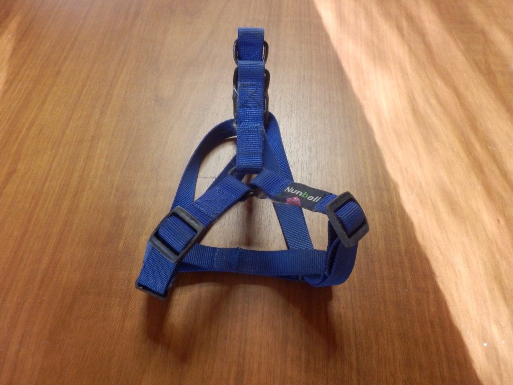 (5) -Harnais chien bleu taille M - nunbell -, Animaux & Accessoires, Enlèvement ou Envoi, Comme neuf