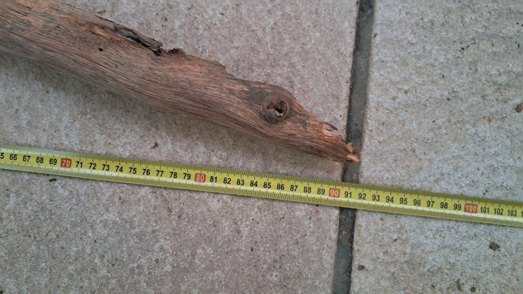 XXL Eikentak 90cm – Premium Hout voor Aquarium & Terrarium, Ophalen, Nieuw, Tak, Plant, Rots of Steen