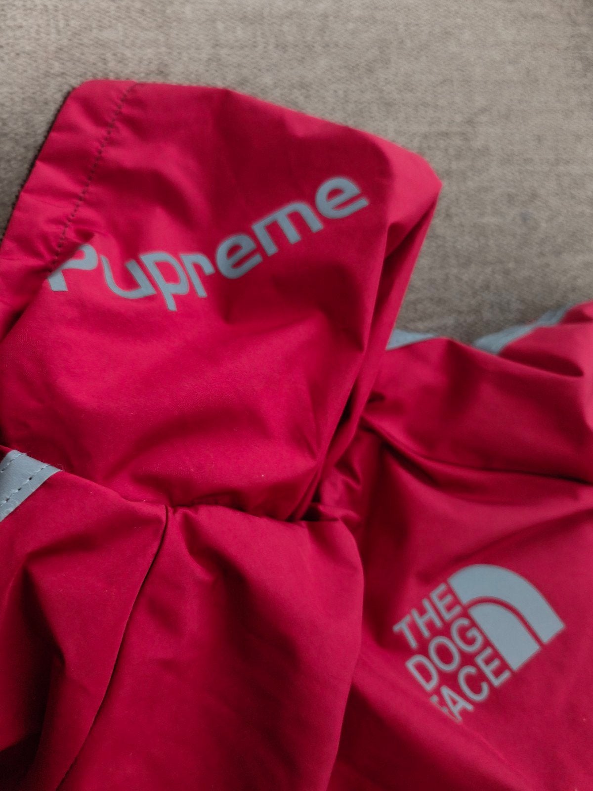 Mooie hondenjasjes / hondenkleding (Maten XS, S en M), Dieren en Toebehoren, Ophalen, Met capuchon, XS