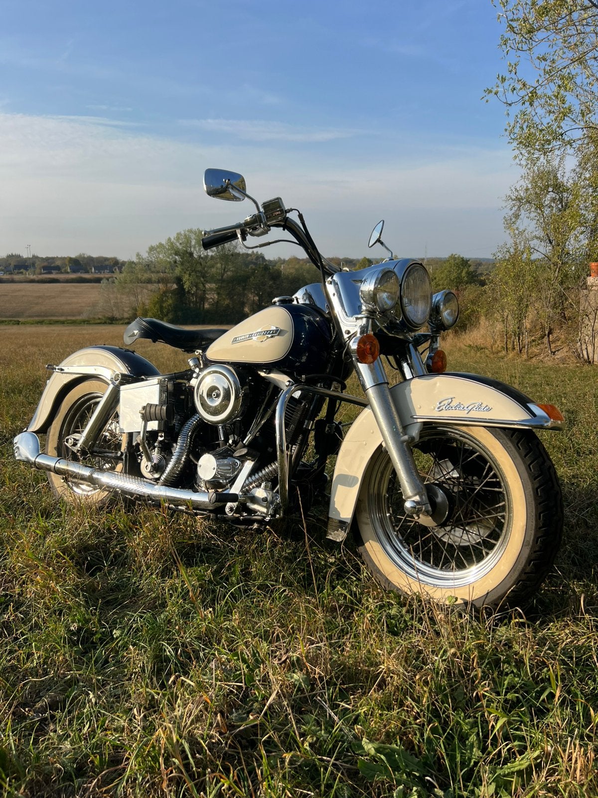 Harley flh 1200, Motoren, 2 cilinders, Occasion, Chopper, Bedrijf