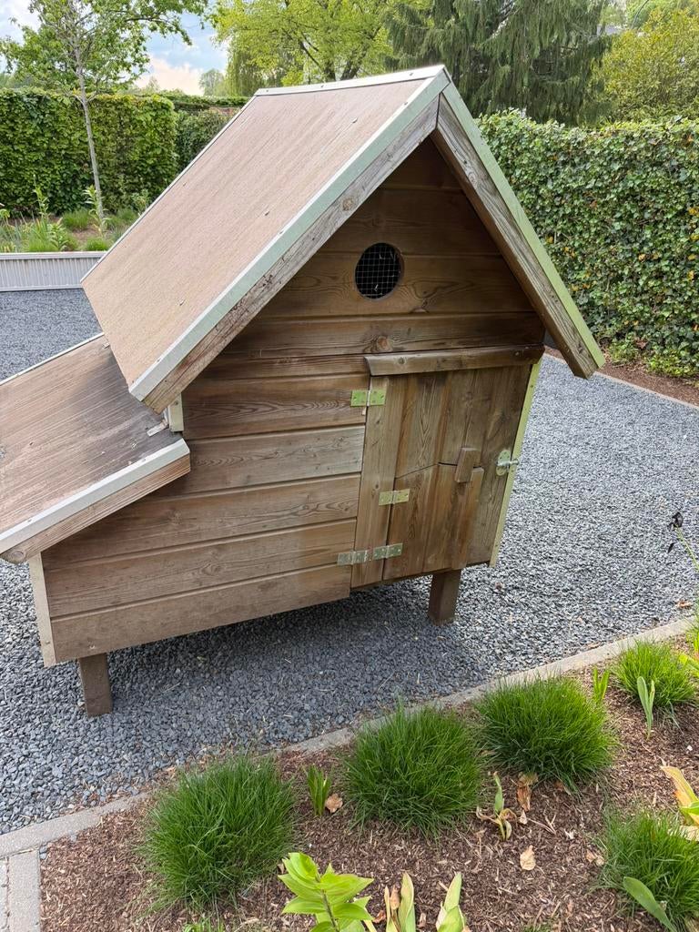 Kippenhok robuust , 130 B x 110 L x 150 H cm, Ophalen, Gebruikt, Hout