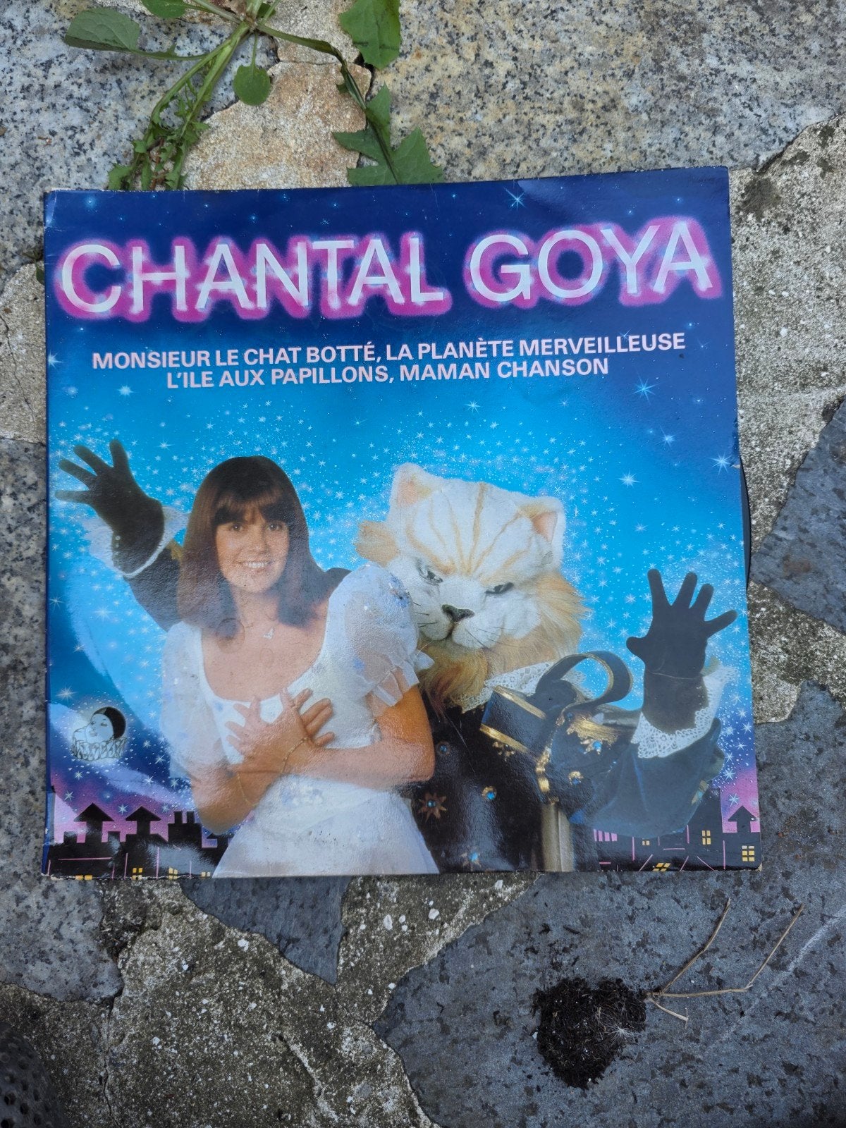 Chantal goya, Enlèvement