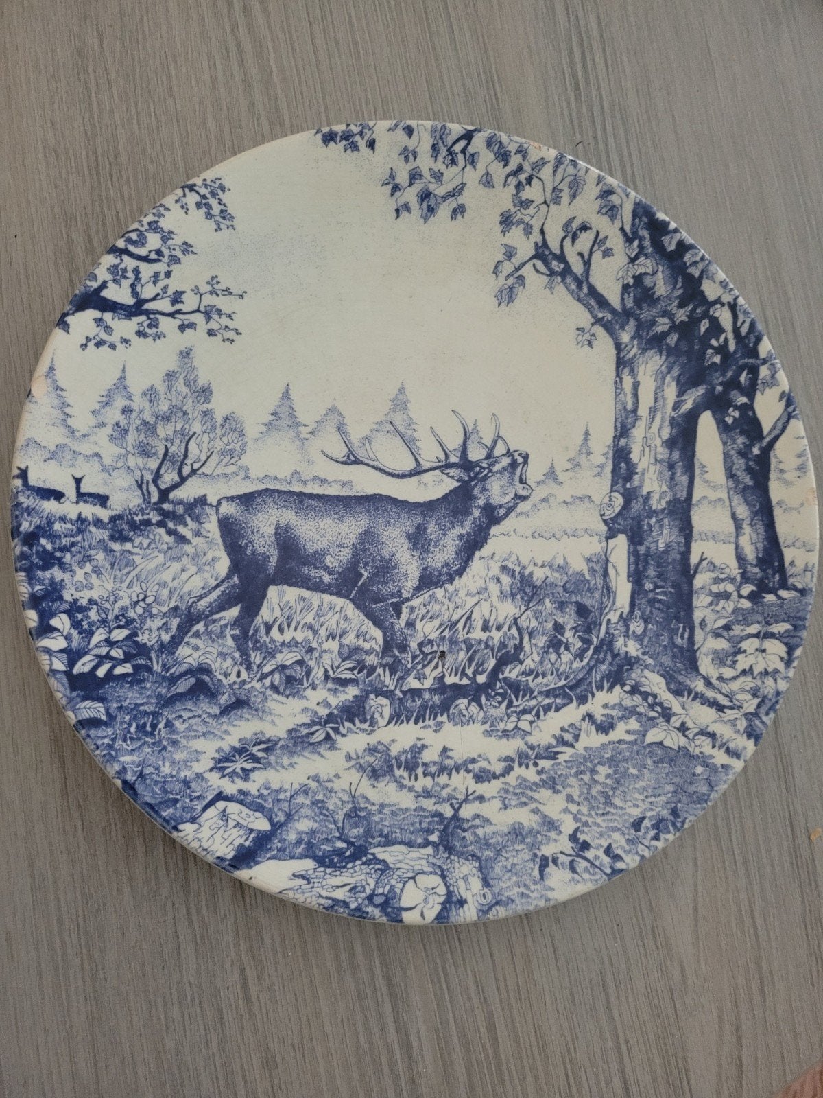 Delft, Ophalen of Verzenden
