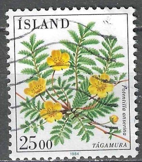 Ijsland 1984 - Yvert 566 - Zilverschoon 25 k. (ST), Postzegels en Munten, Postzegels | Europa | Scandinavië, Verzenden, IJsland