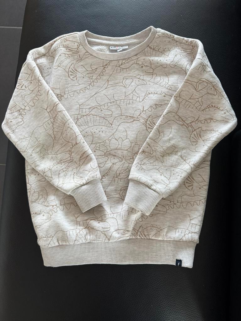 Sweater, Ophalen of Verzenden, Zo goed als nieuw, Jongen, Trui of Vest
