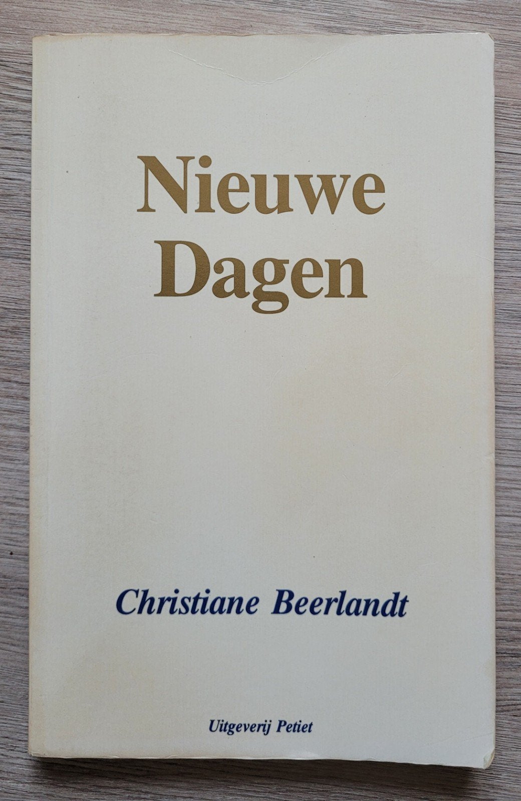 Christiane Beerlandt - Nieuwe Dagen, Boeken, Ophalen of Verzenden, Gelezen, Christiane Beerlandt