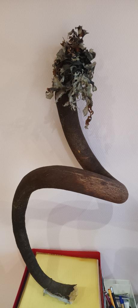 BLOEMSCHIKMATERIAAL, Enlèvement