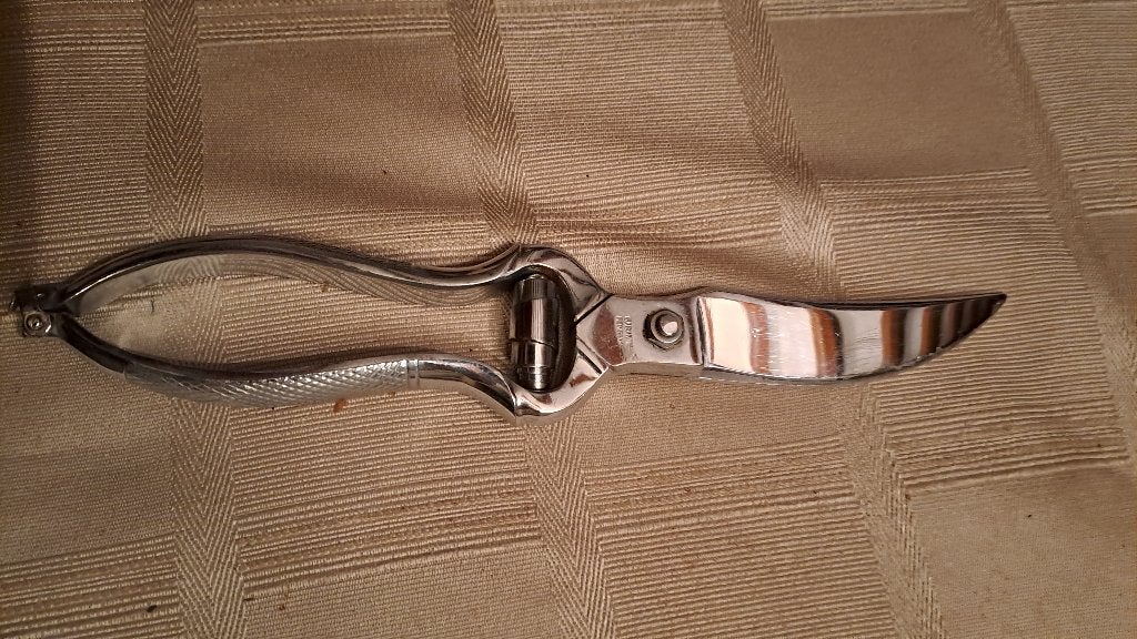 Zilverkleurige gevogelte schaar, Ophalen