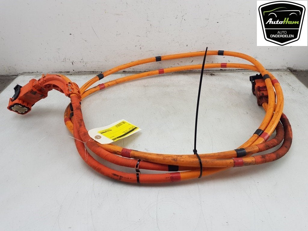 CÂBLE HT (HAUTE TENSION) Tesla Model Y (5YJY), Dhr. J. Ham, Administratie@autoham.nl, Utilisé, Autres marques automobiles