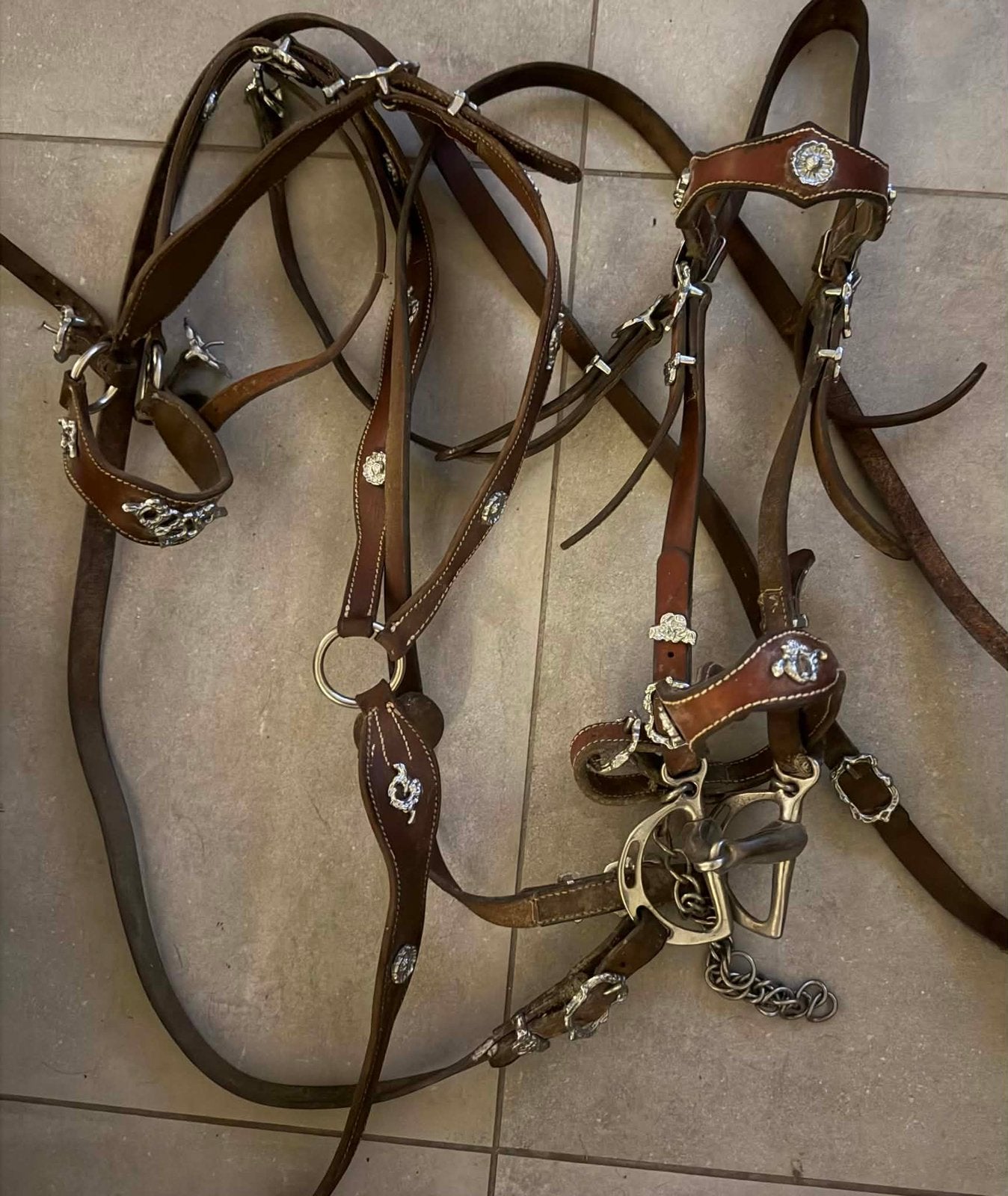 Brides portugaise et collier de chasse, Animaux & Accessoires, Chevaux & Poneys | Brides & Harnachement, Enlèvement, Comme neuf