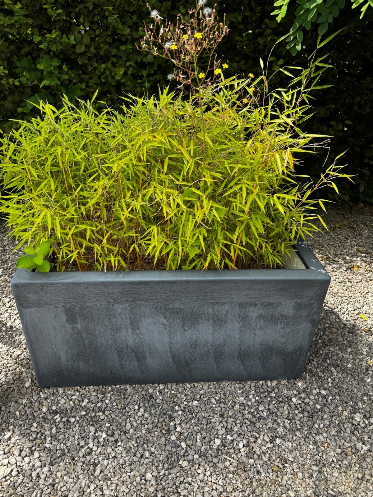 Plantenbakken, Ophalen, Kunststof, Gebruikt, 100 cm of meer