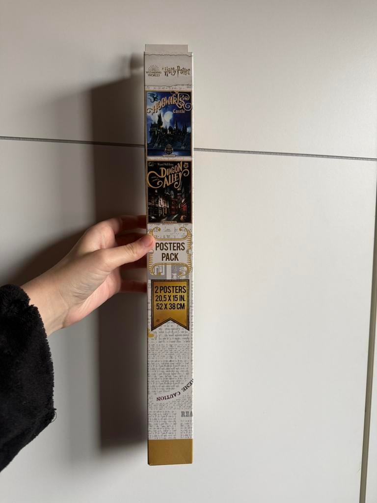 Poster Harry Potter, Verzamelen, Ophalen, Zo goed als nieuw, Rechthoekig Staand, Film en Tv