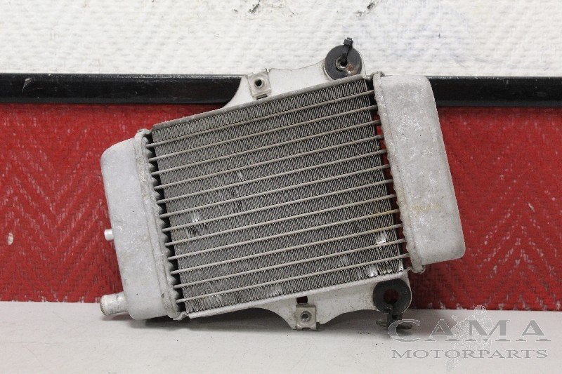 RADIATEUR Honda SES 150 Dylan (SES150) (01-1970/-) (614030), Motoren, Dhr. S. di Majo, Gebruikt, Info@cama-motorparts.nl, P.J. Troelstraweg 8 8
3144 CX  MAASSLUIS, NL
