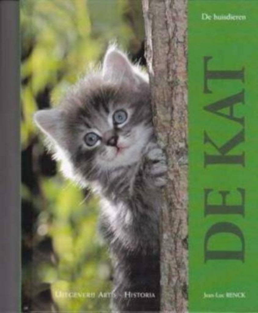 boek: de kat + GRATIS krantjes 'huisdieren', Livres, Animaux & Animaux domestiques, Enlèvement ou Envoi, Comme neuf, Chats