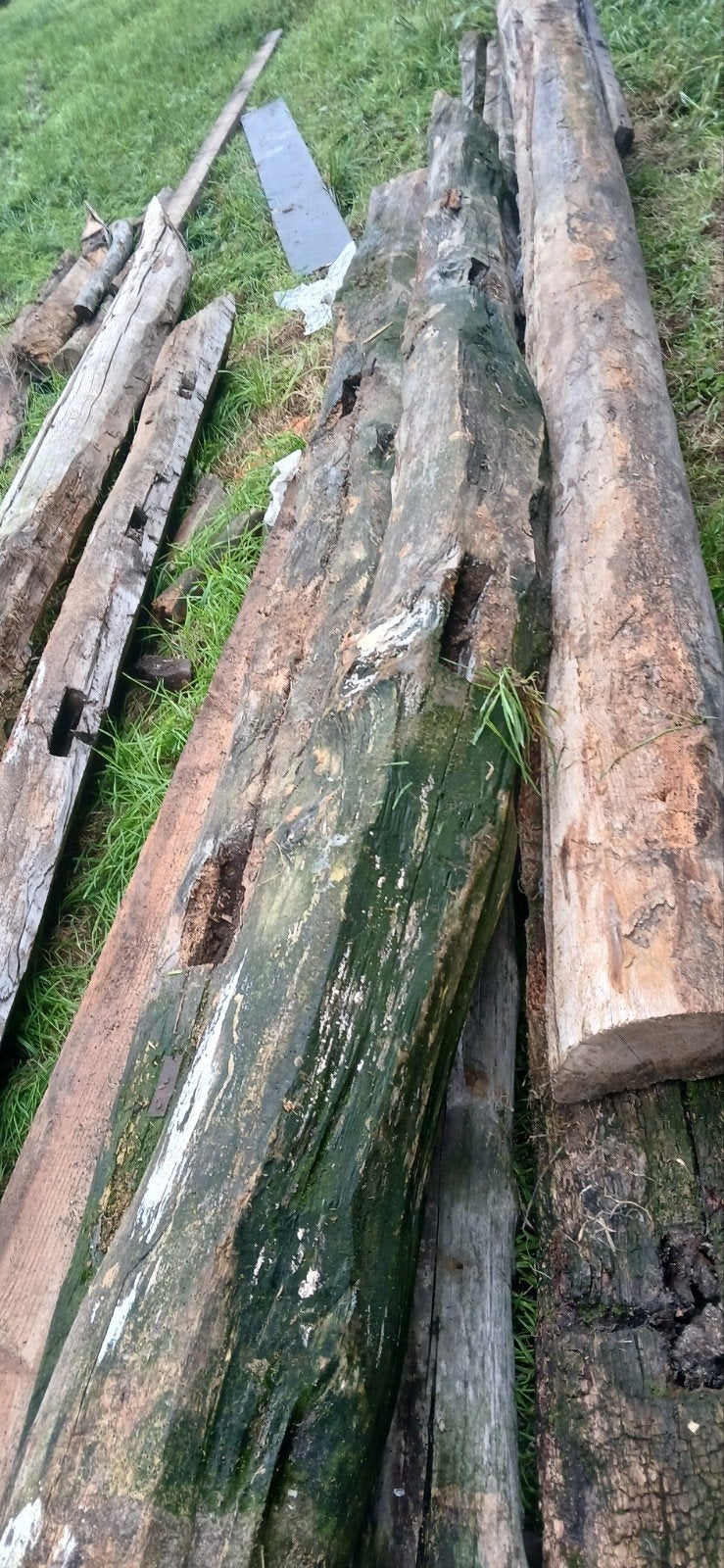 Te koop oude balken., Tuin en Terras, Ophalen, 250 cm of meer, Balken